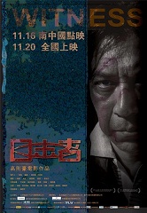 目击者(2012)